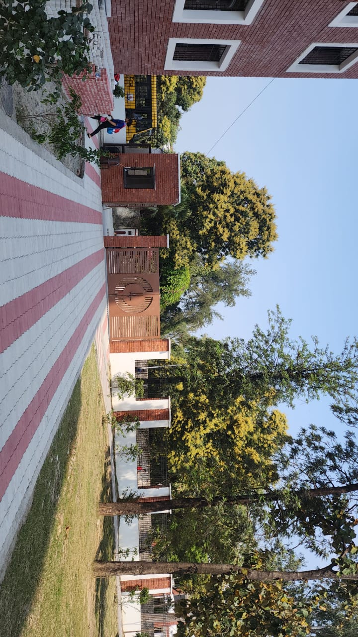 GEU Campus photo 4